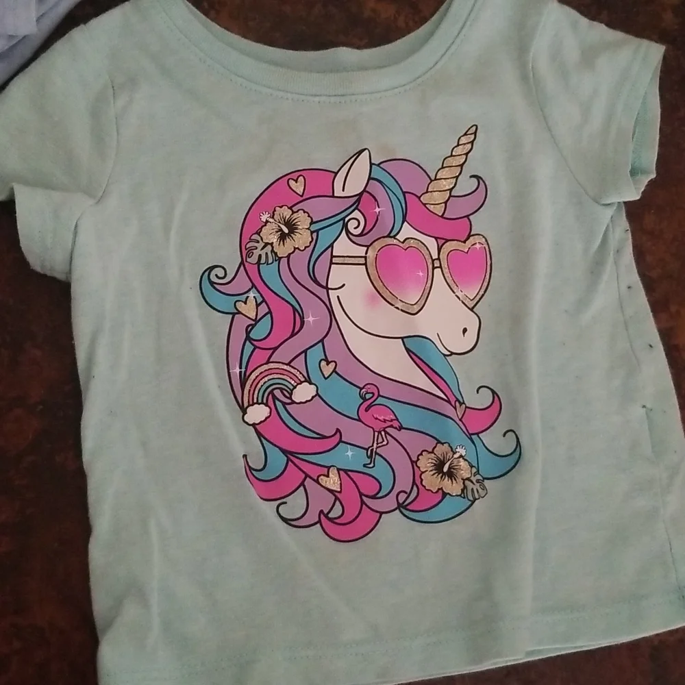 9-12 Month Girl Shirt Bundle - Picture 3 of 7